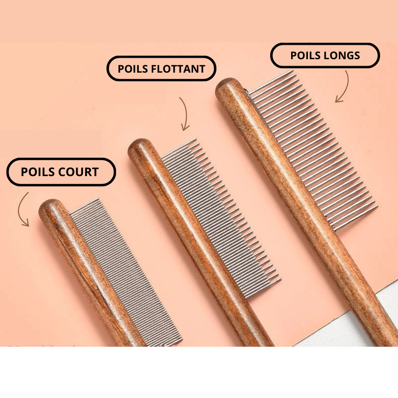 BROSSE EN ACIER INOXYDABLE