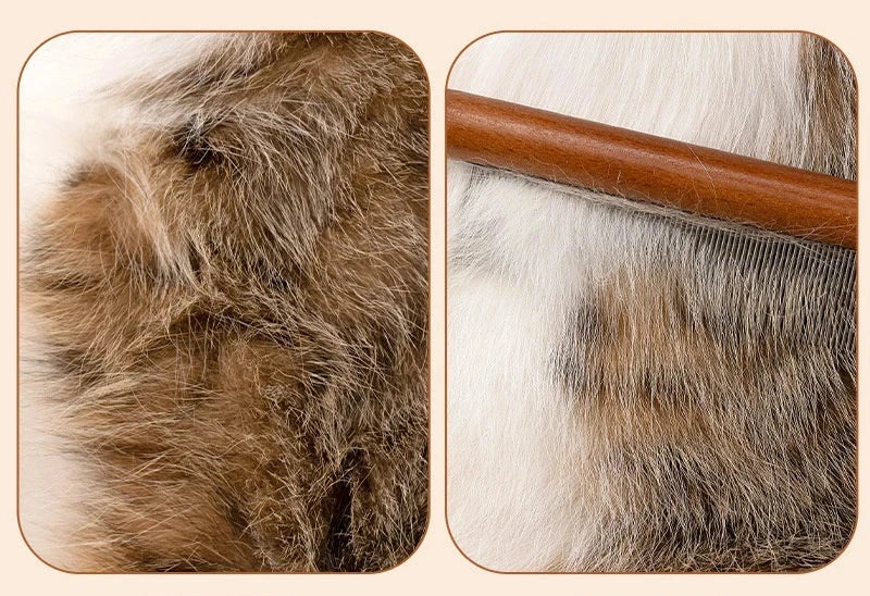 BROSSE EN ACIER INOXYDABLE