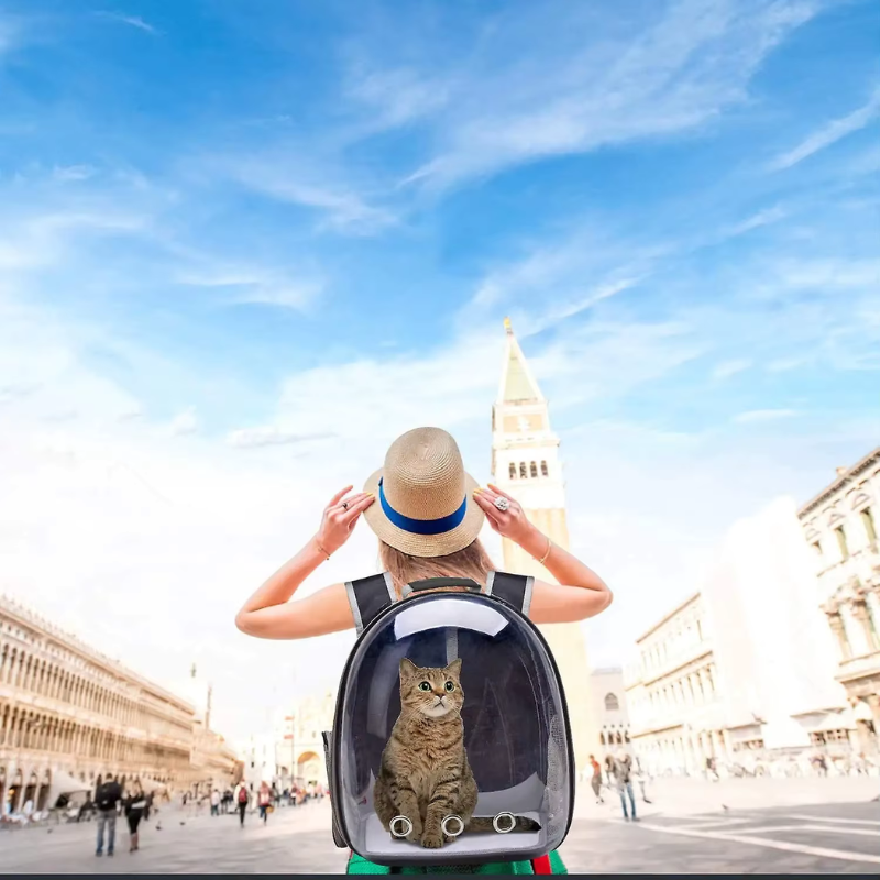 Voyage et transport ✈️🧳😻