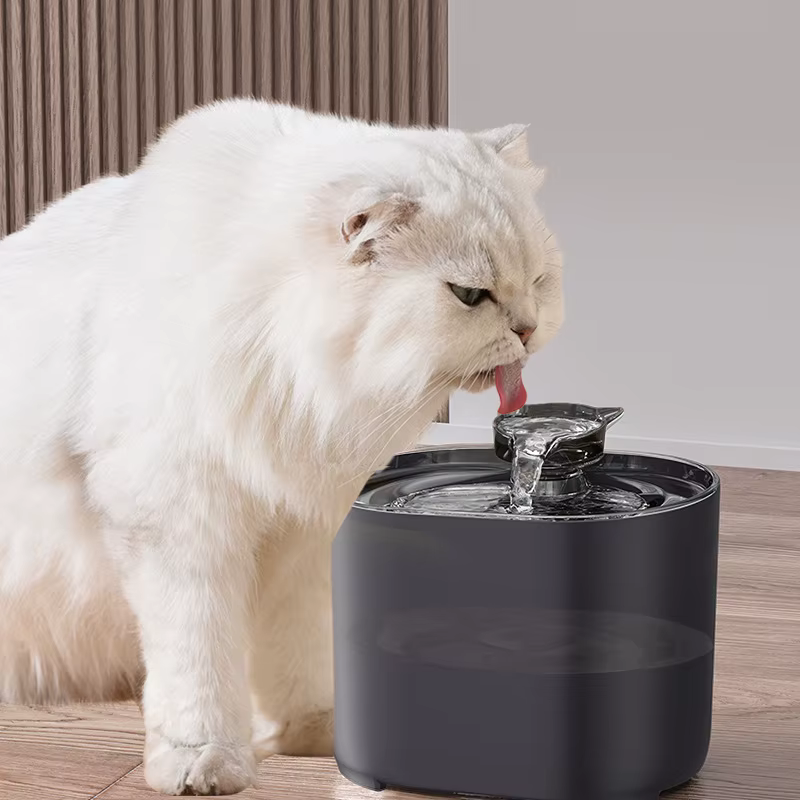 Nos fontaines d'eau pour chat 💦😻