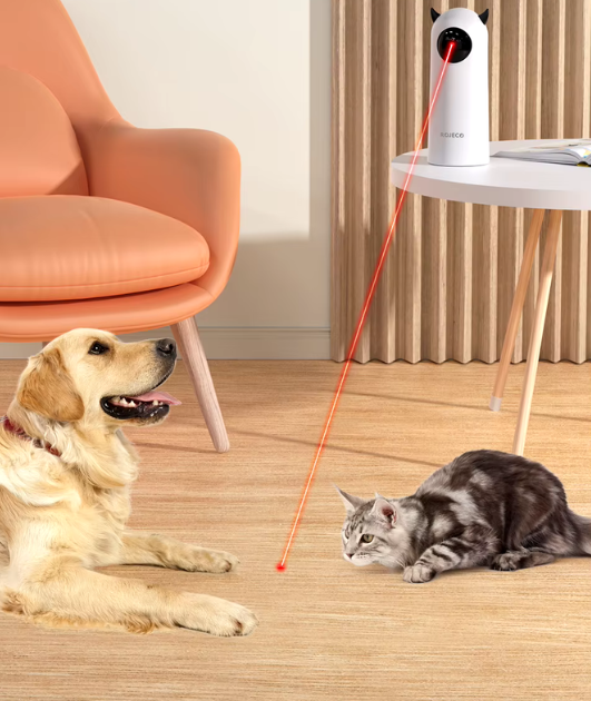 JEUX LASER POUR CHAT