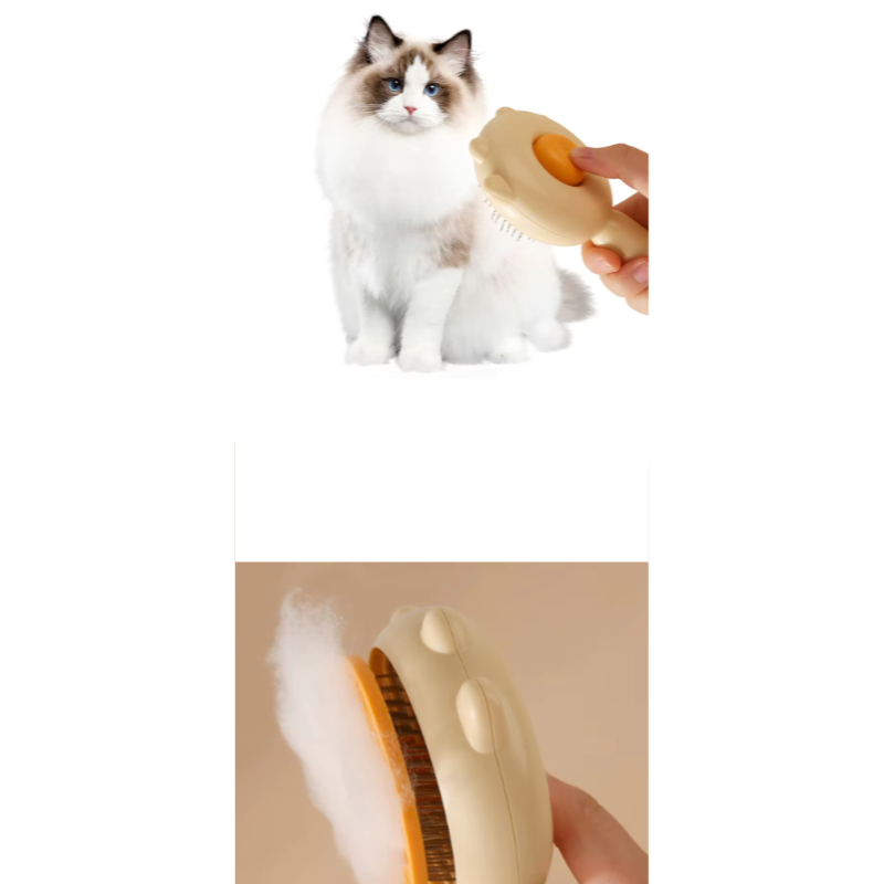 BROSSE ATTRAPE POILS