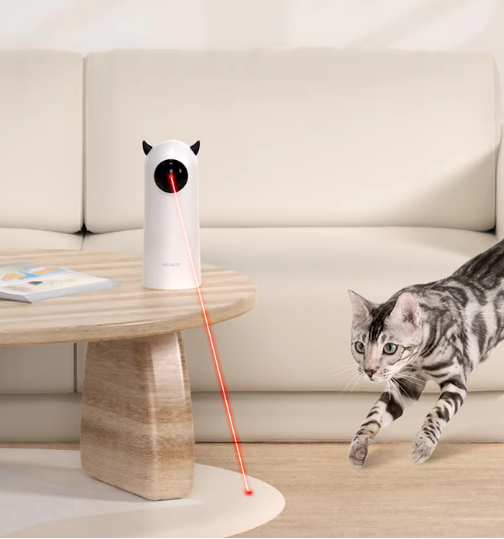 JEUX LASER POUR CHAT
