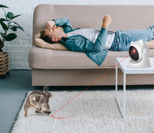 JEUX LASER POUR CHAT