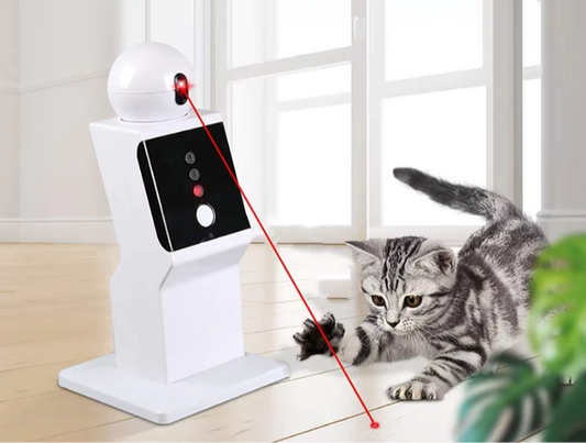 JEUX LASER POUR CHAT