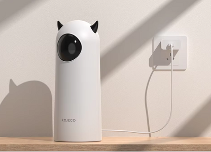 JEUX LASER POUR CHAT