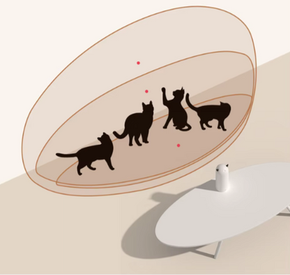 JEUX LASER POUR CHAT