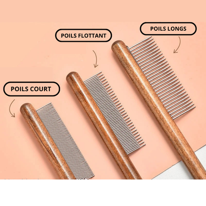 BROSSE EN ACIER INOXYDABLE