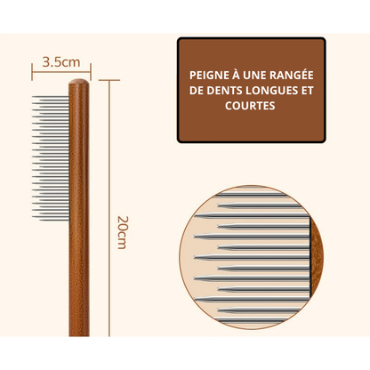 BROSSE EN ACIER INOXYDABLE