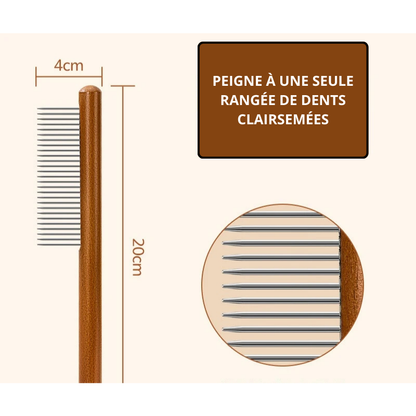 BROSSE EN ACIER INOXYDABLE