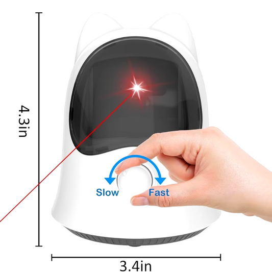 JEUX LASER POUR CHAT