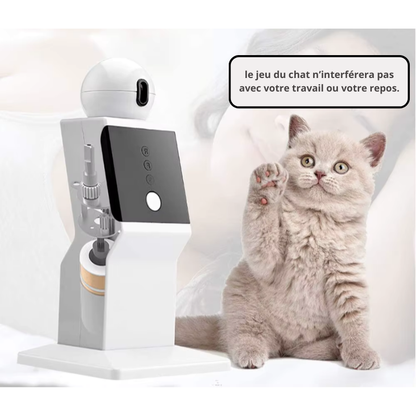 JEUX LASER POUR CHAT