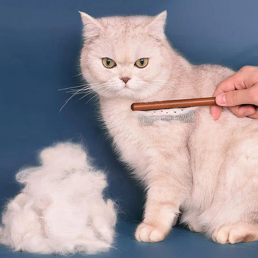 BROSSE EN ACIER INOXYDABLE
